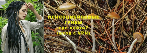 герыч Гусиноозёрск